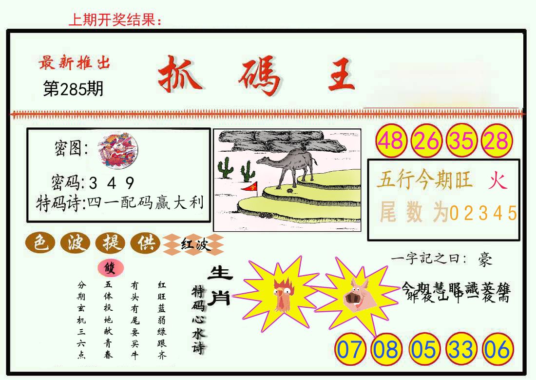 最新抓码王 第285期