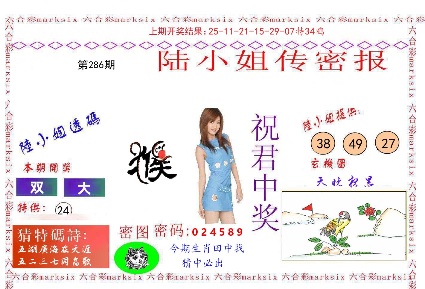 陆小姐密报 第286期