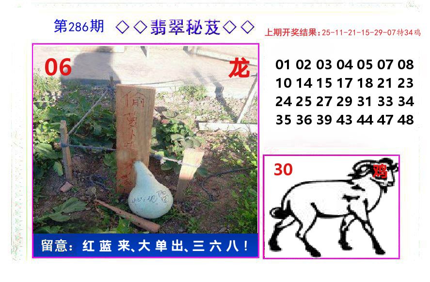 翡翠秘芨 第286期