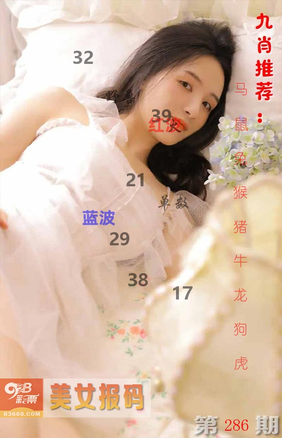 美女报码 第286期