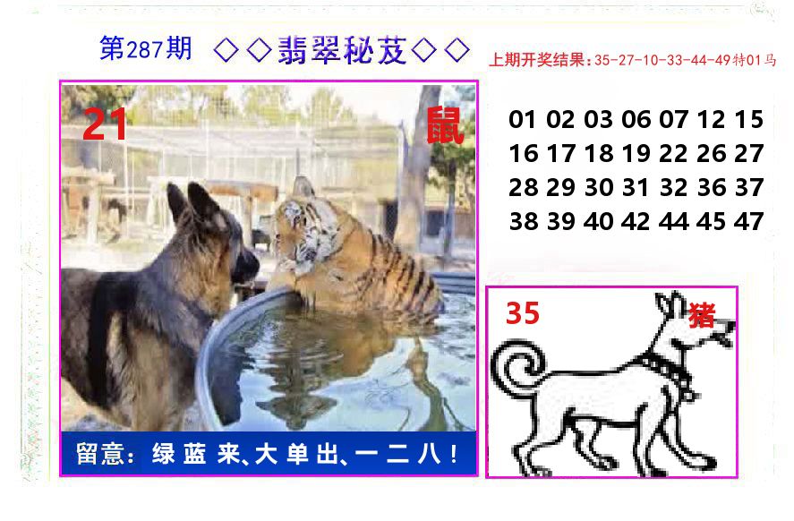 翡翠秘芨 第287期