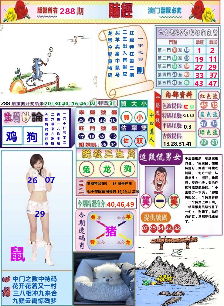 澳门赌经 第288期