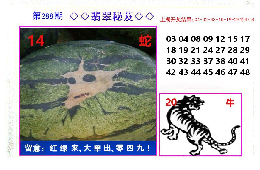 翡翠秘芨 第288期