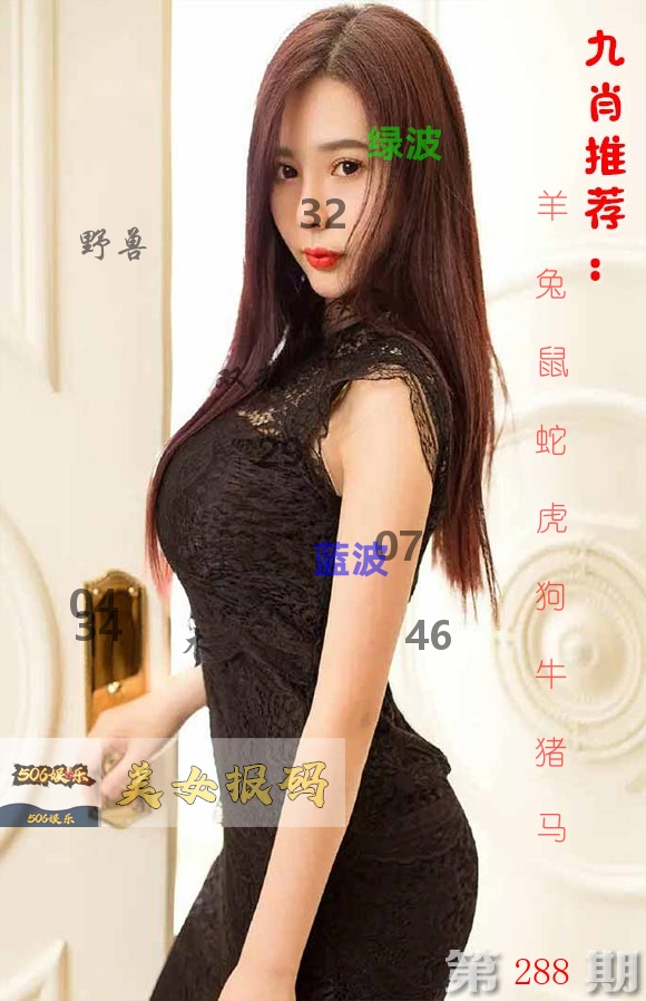 美女报码 第288期