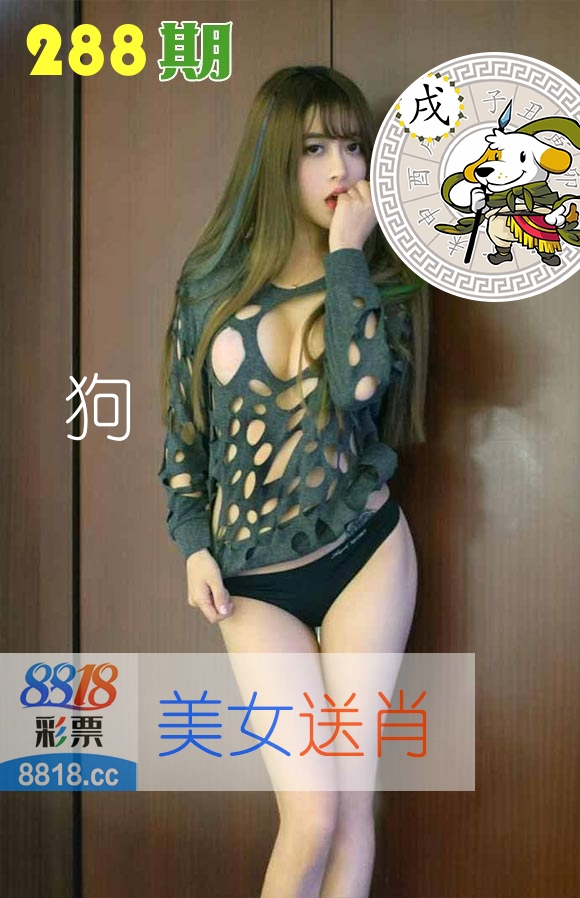 美女送肖 第288期
