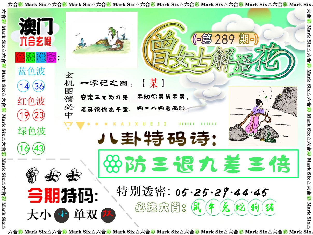 曾女士解语花 第289期