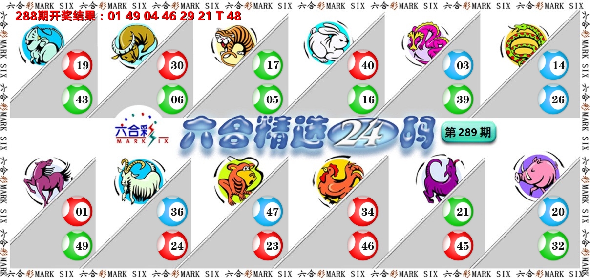 六合精选24码 第289期