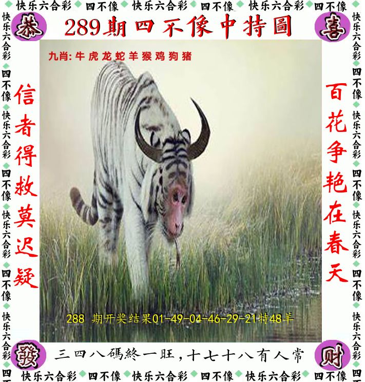 四不像 第289期