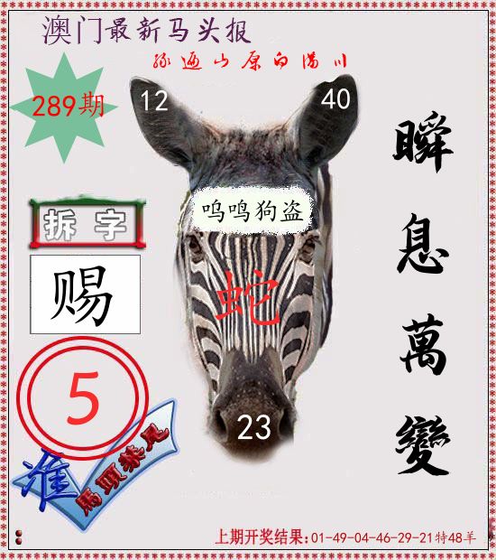 马头报 第289期