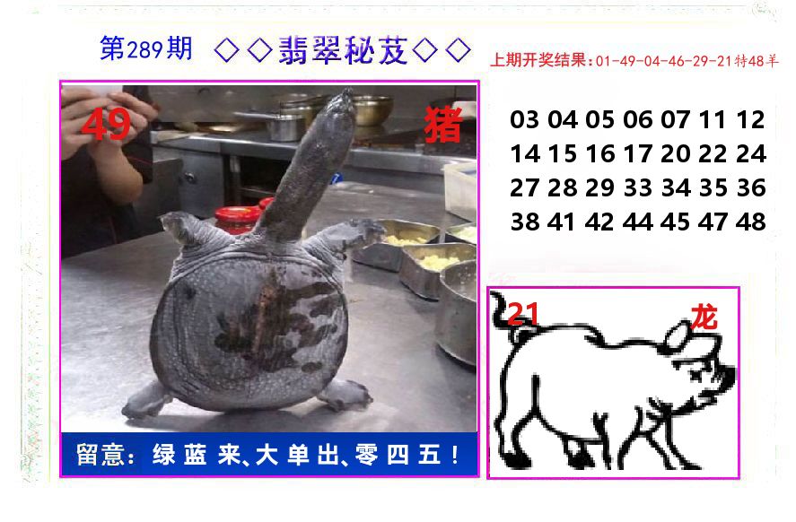 翡翠秘芨 第289期