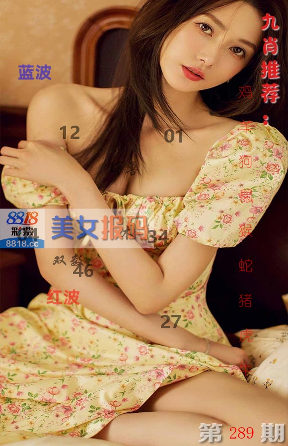 美女报码 第289期