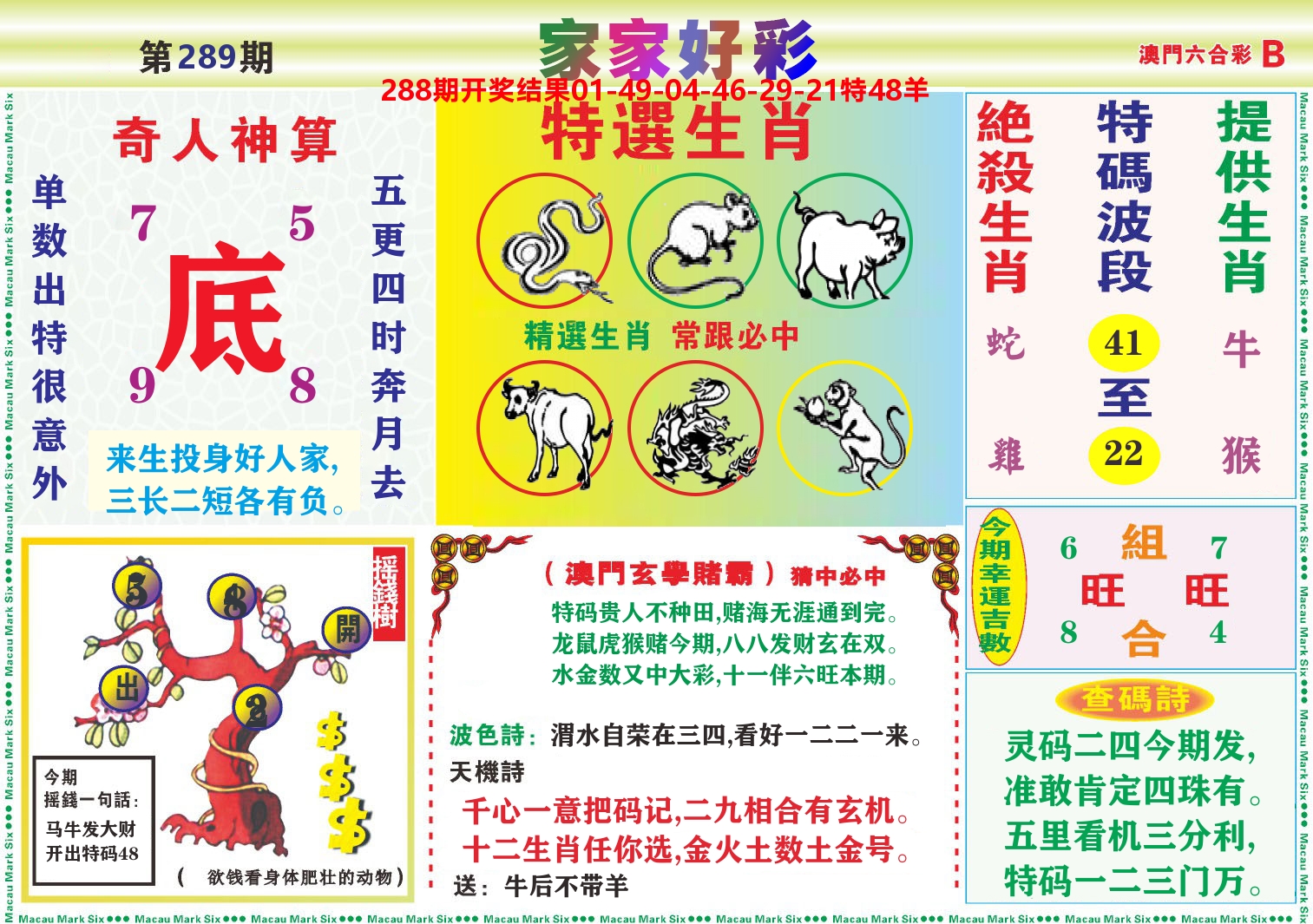 家家好彩B 第289期