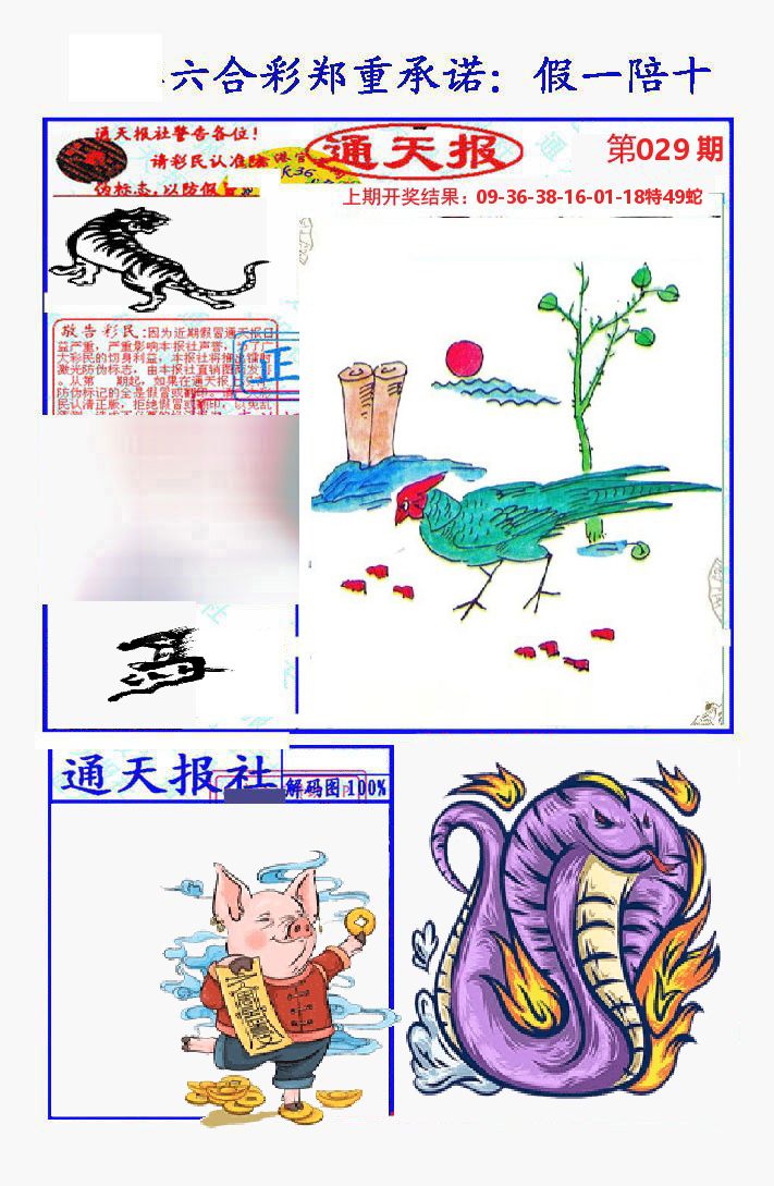 通天报 第29期