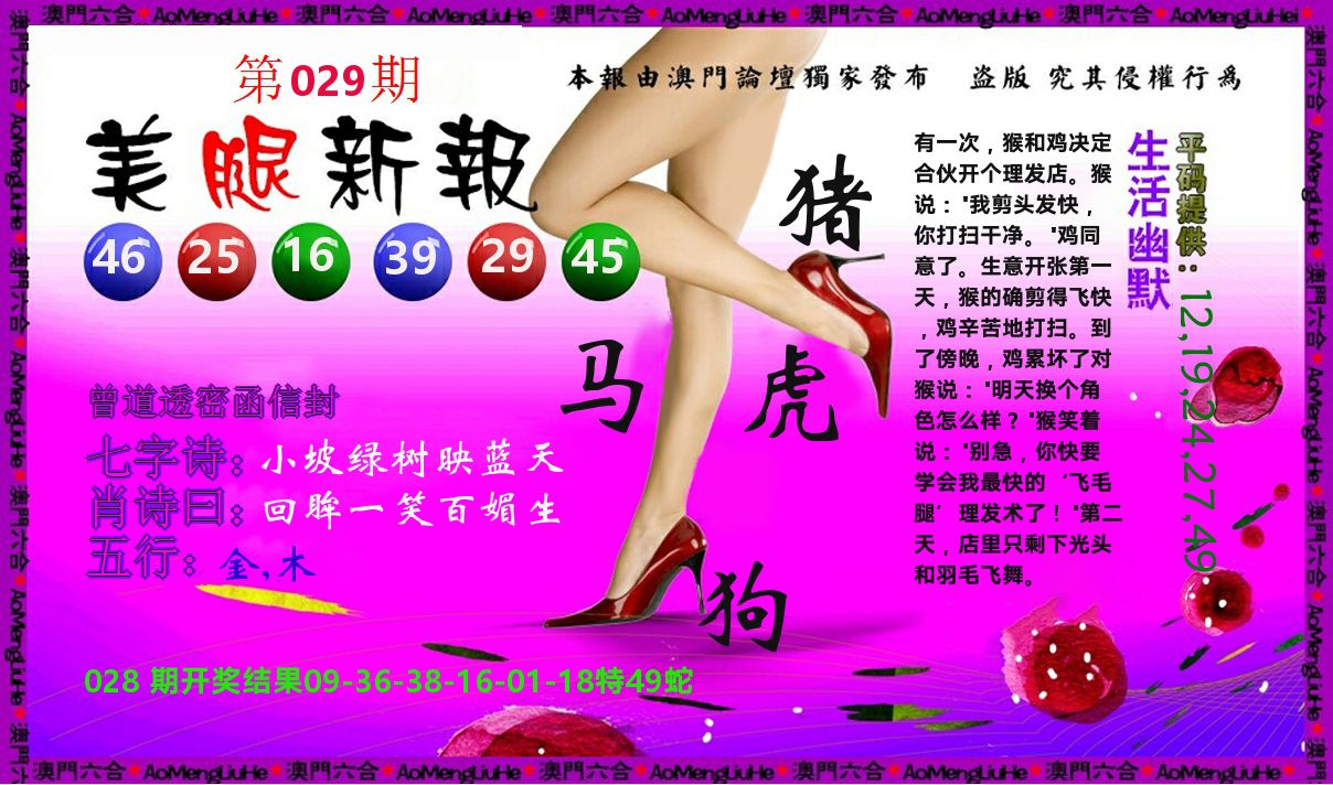 美腿新报 第29期