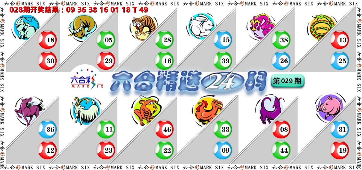 六合精选24码 第29期