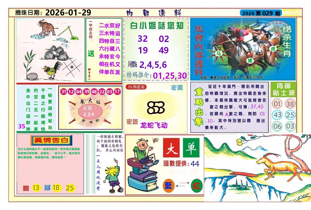 澳门内部透料A 第29期