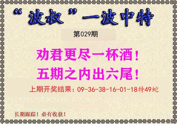 波叔中特 第29期