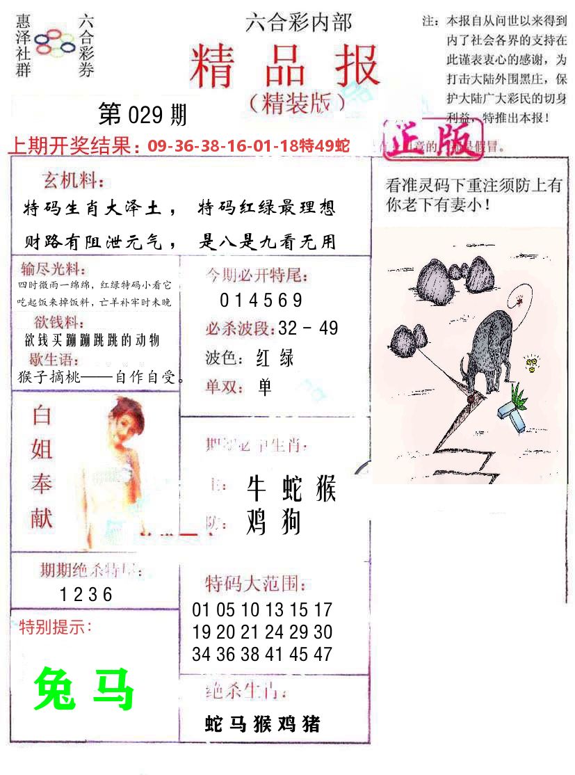 精品报 第29期