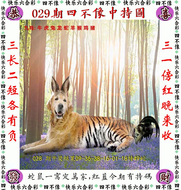 四不像 第29期