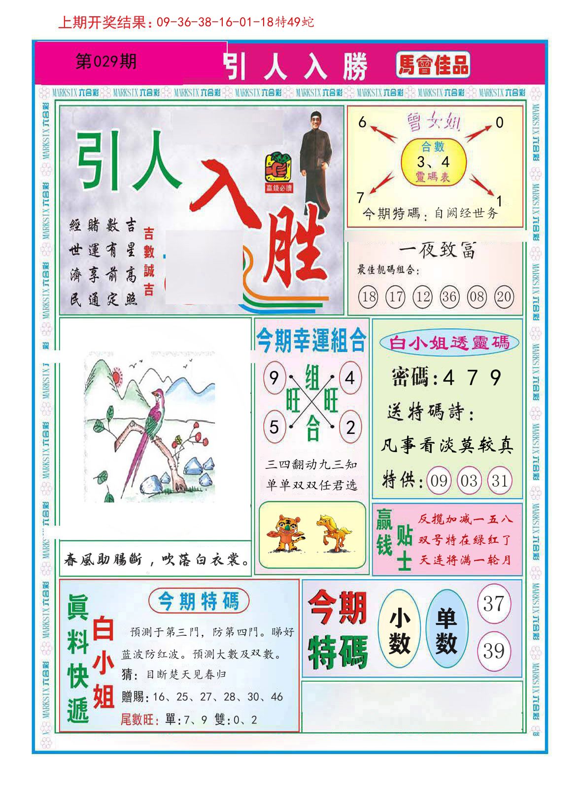 引人入胜 第29期