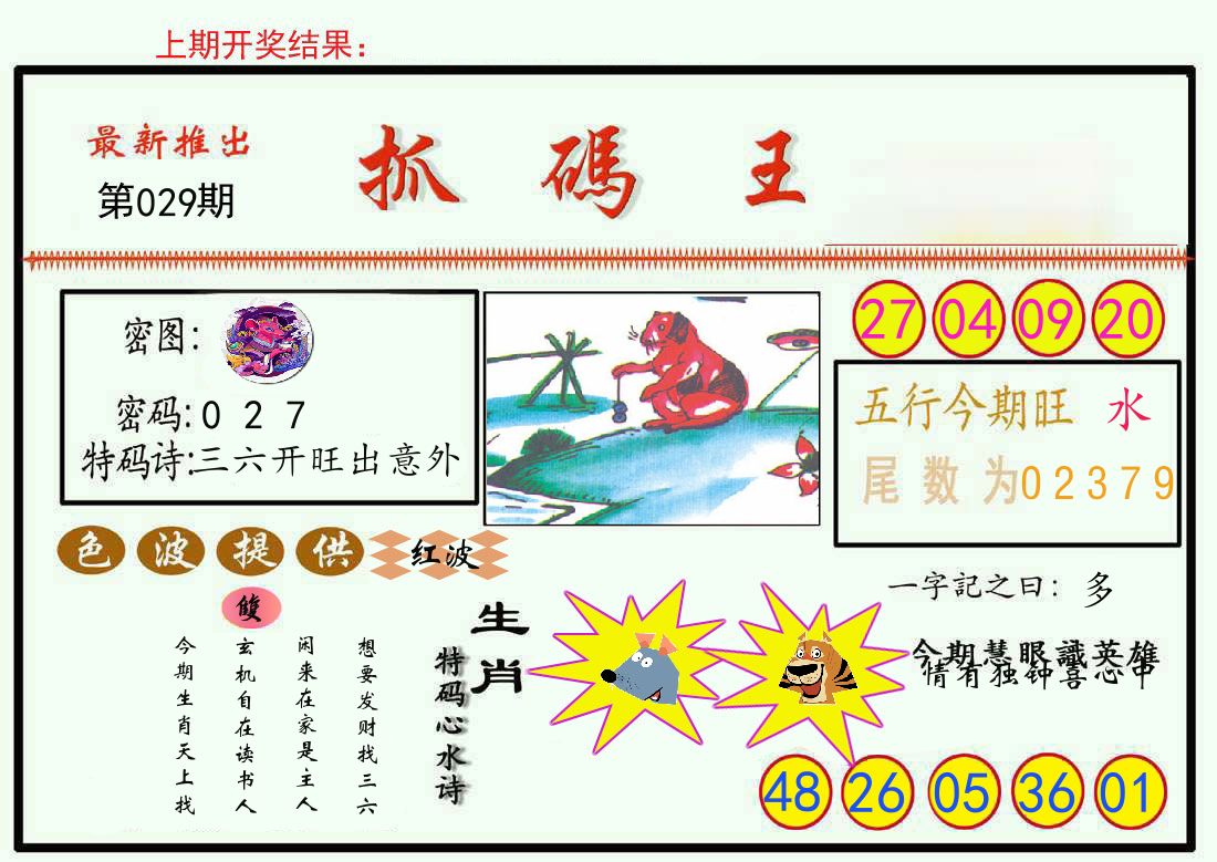 最新抓码王 第29期