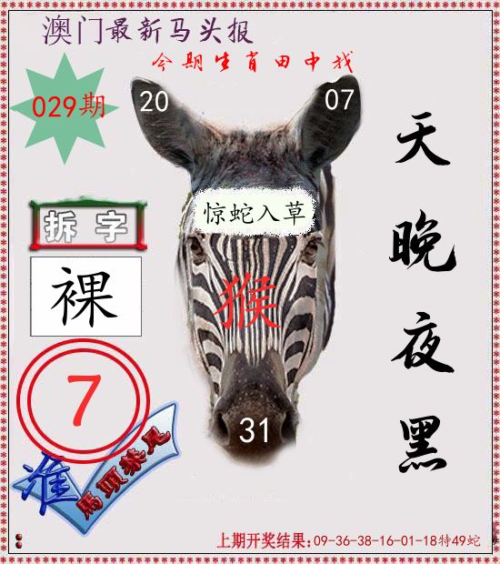 马头报 第29期