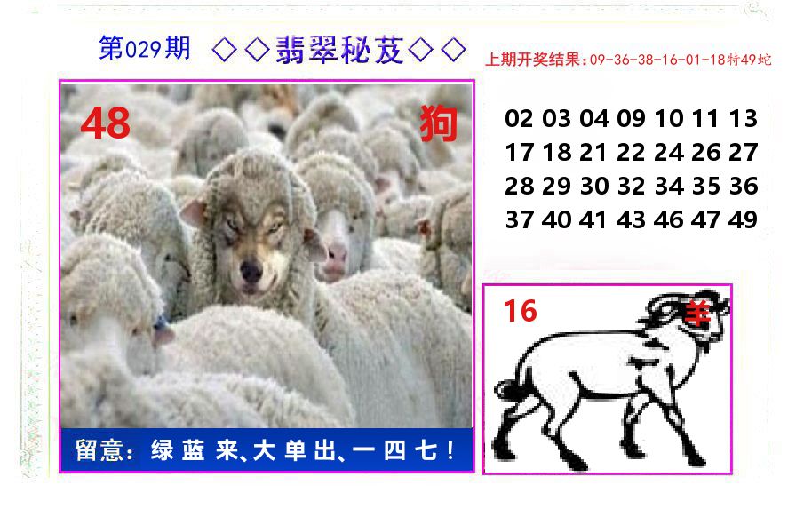 翡翠秘芨 第29期