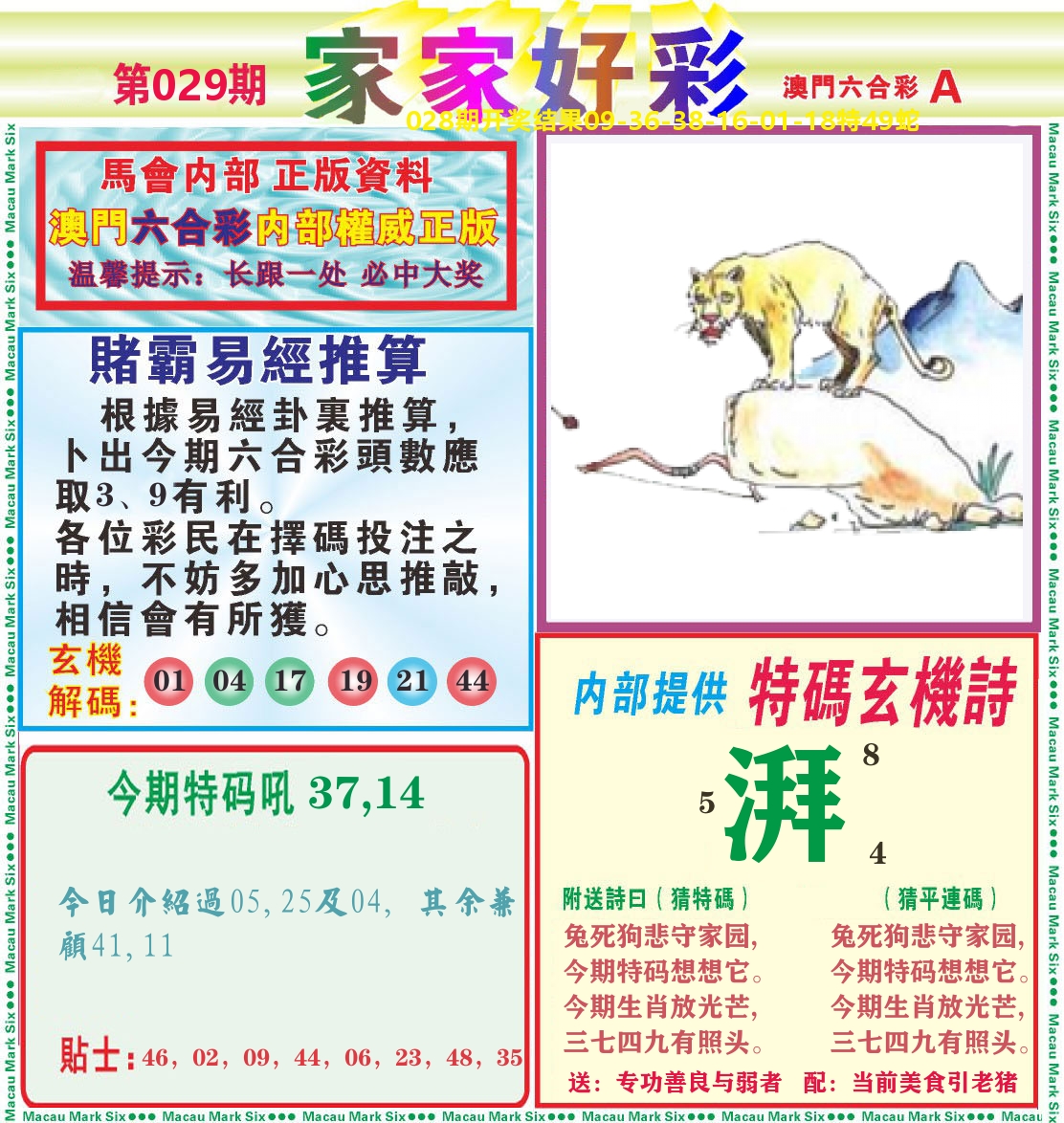 家家好彩A 第29期