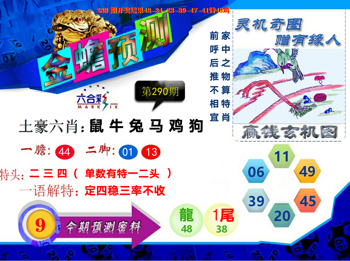 金蟾预测 第290期