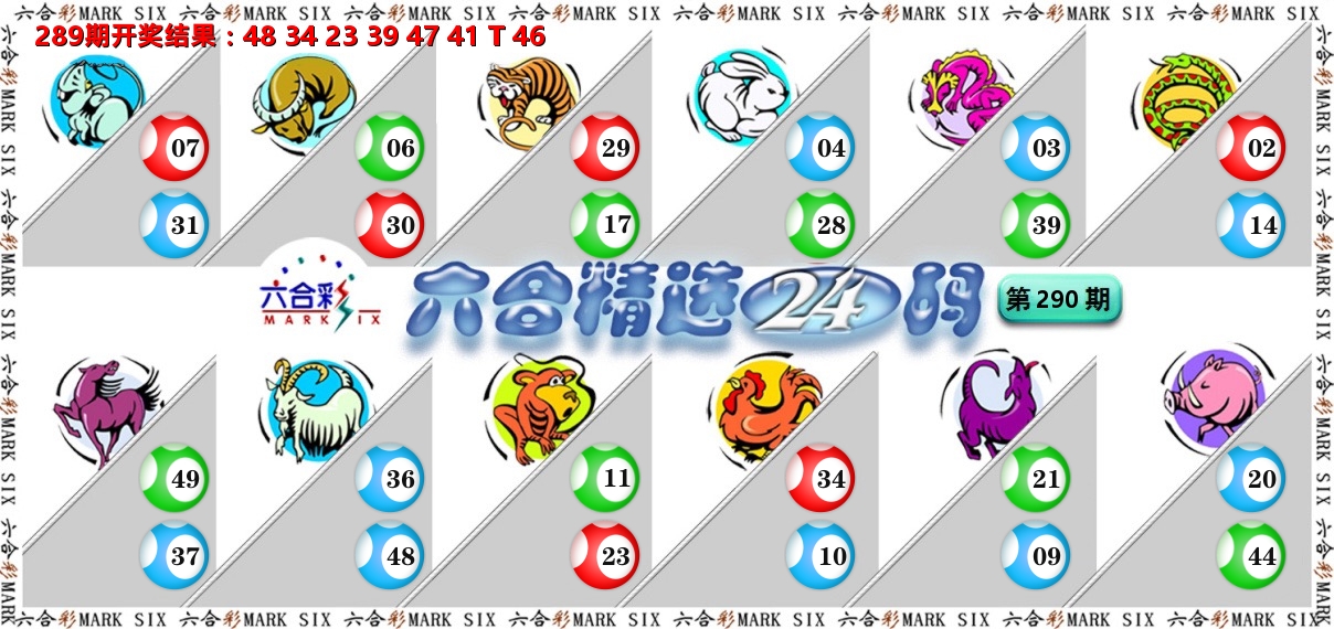 六合精选24码 第290期