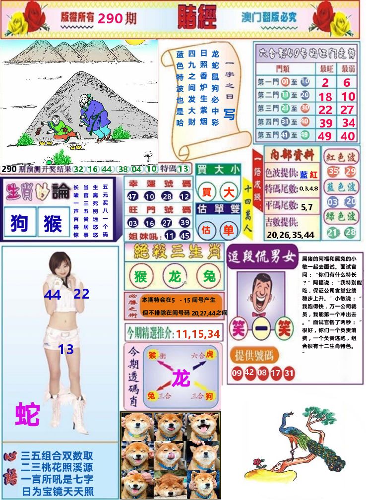 澳门赌经 第290期