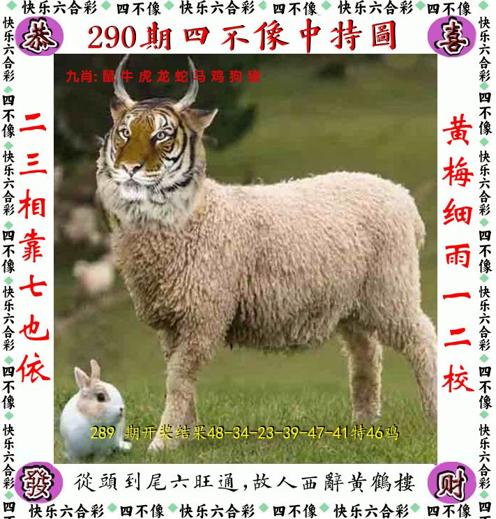 四不像 第290期