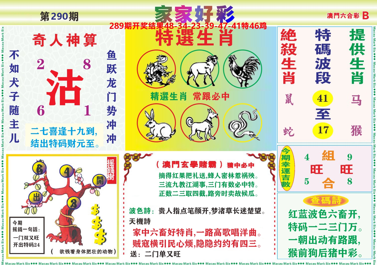 家家好彩B 第290期