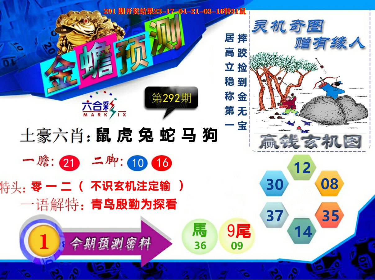 金蟾预测 第292期