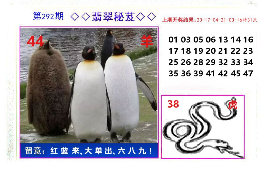 翡翠秘芨 第292期