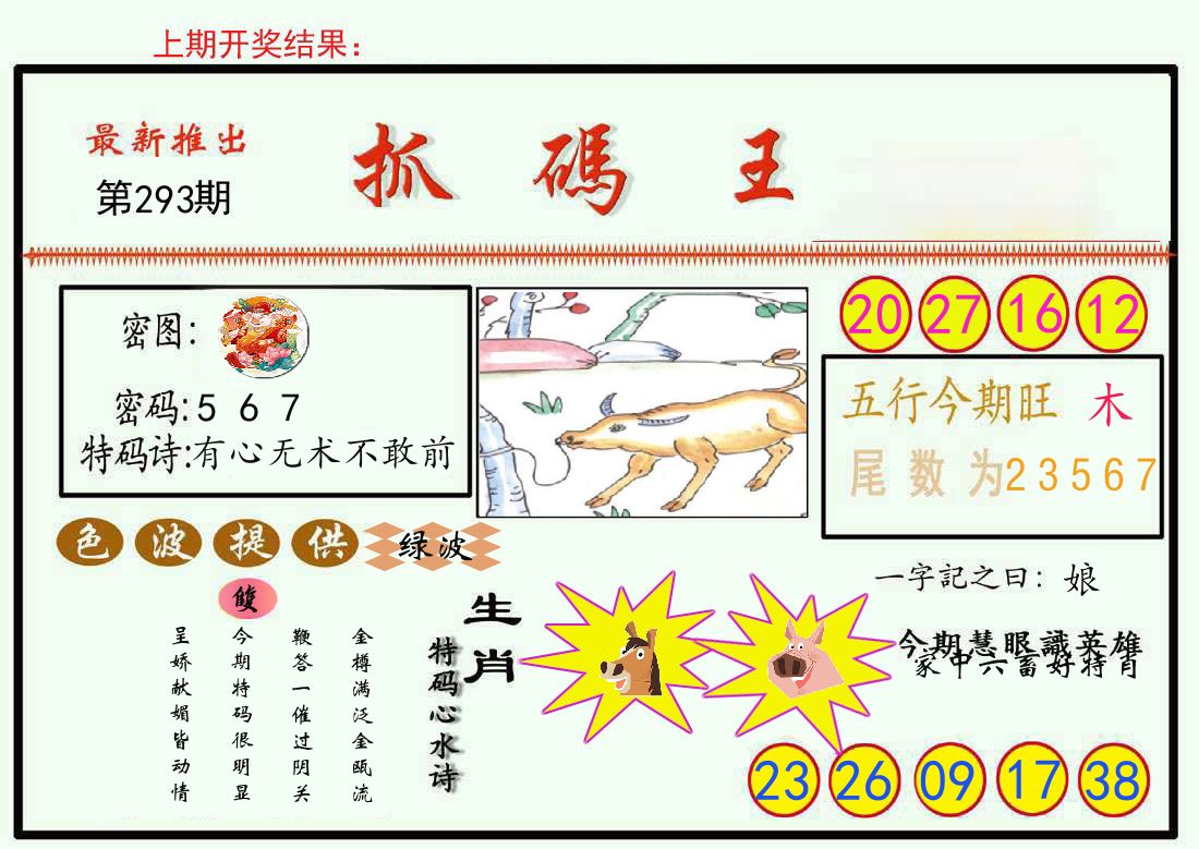 最新抓码王 第293期