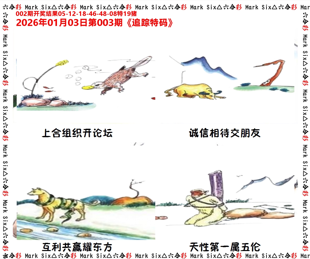 追踪特码 第3期