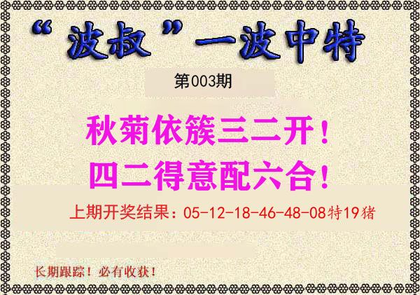 波叔中特 第3期