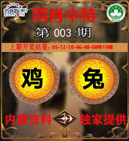 两肖中特 第3期