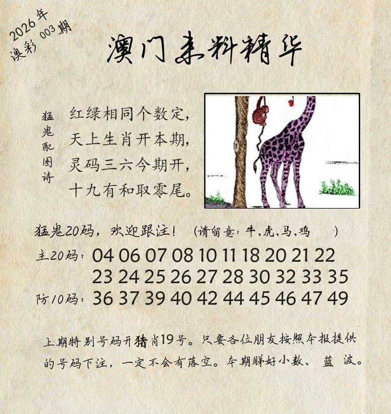 精华来料 第3期