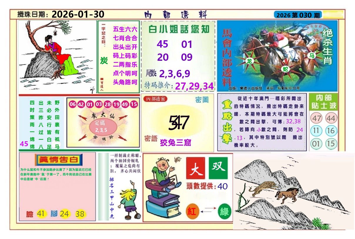 澳门内部透料A 第30期