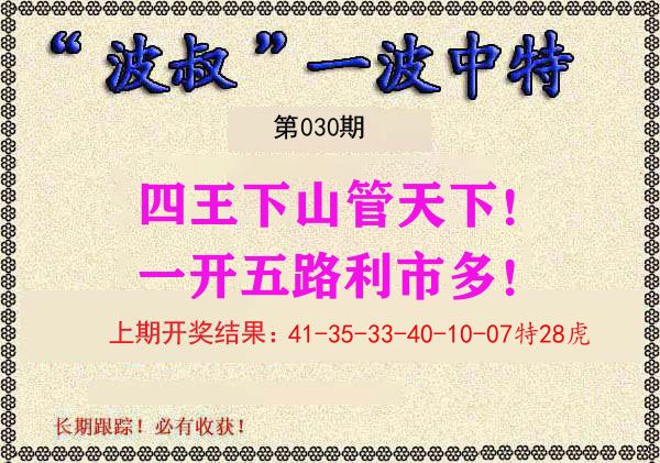 波叔中特 第30期