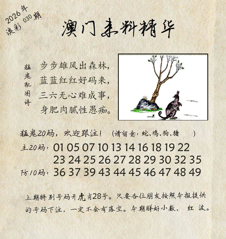 精华来料 第30期