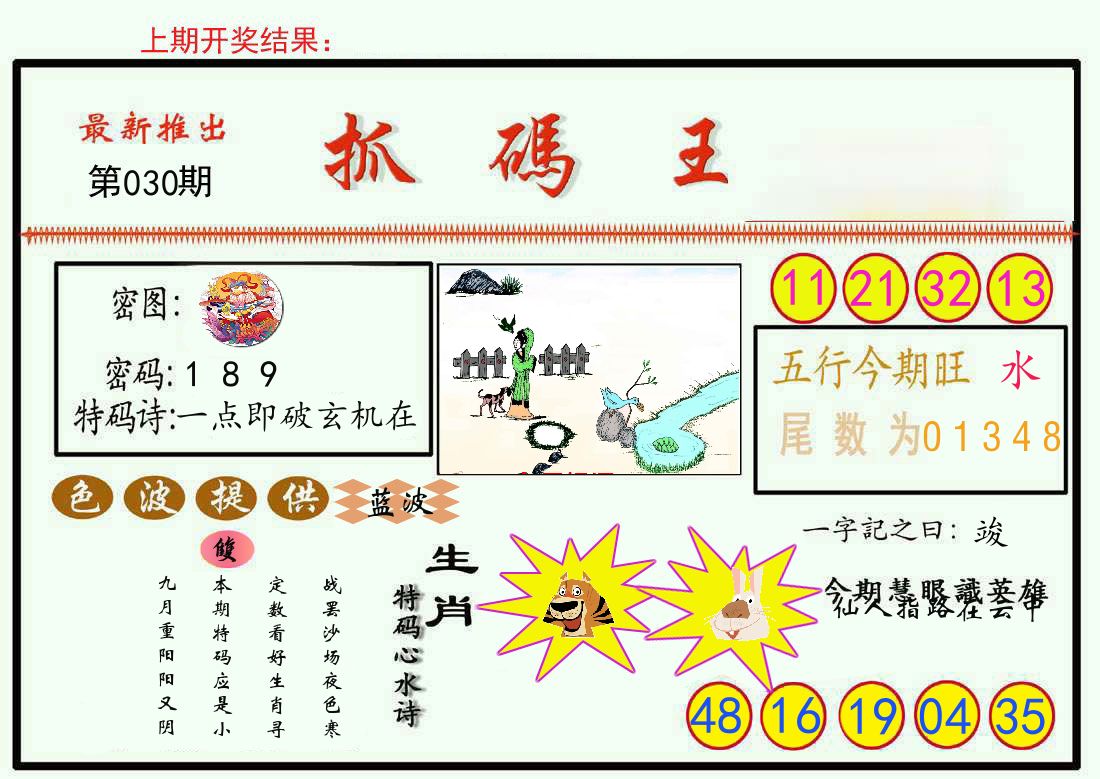 最新抓码王 第30期