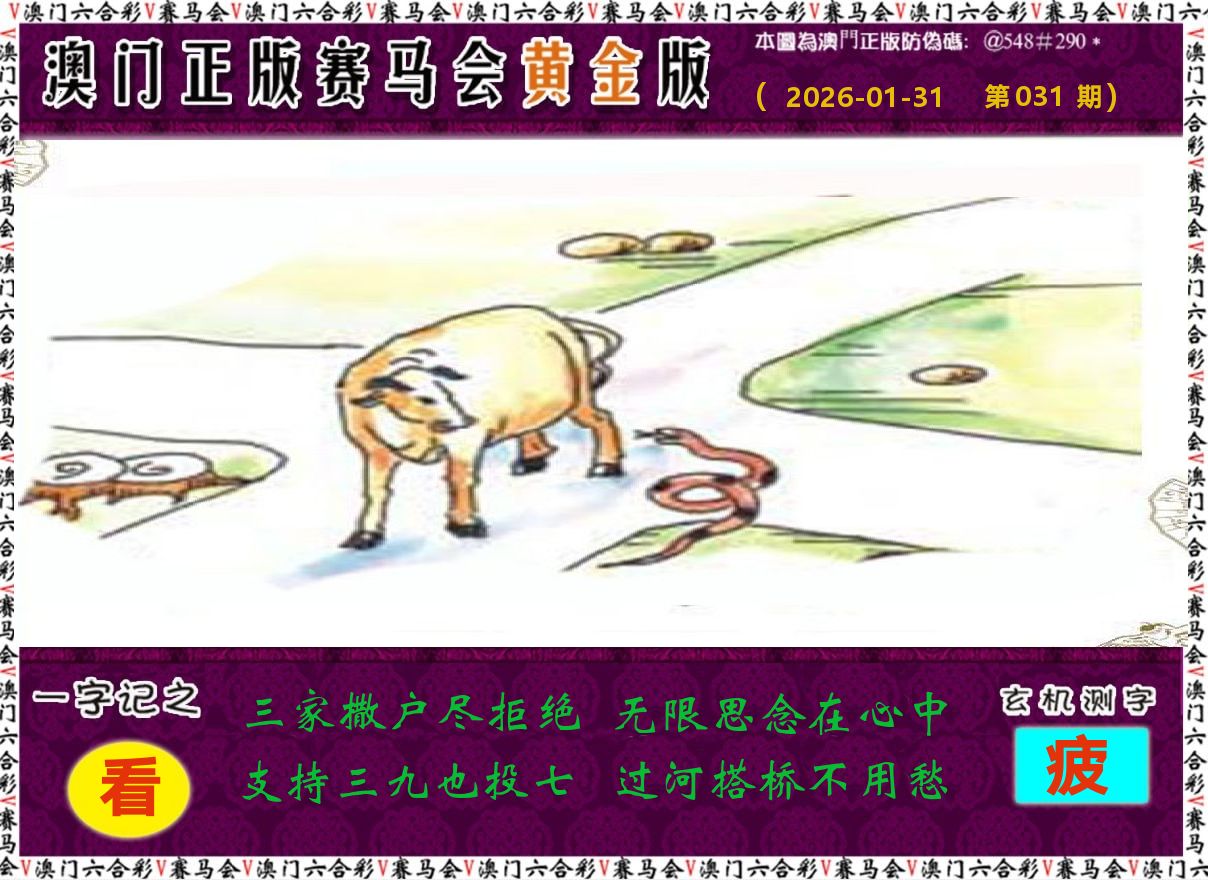 赛马会黄金版 第31期