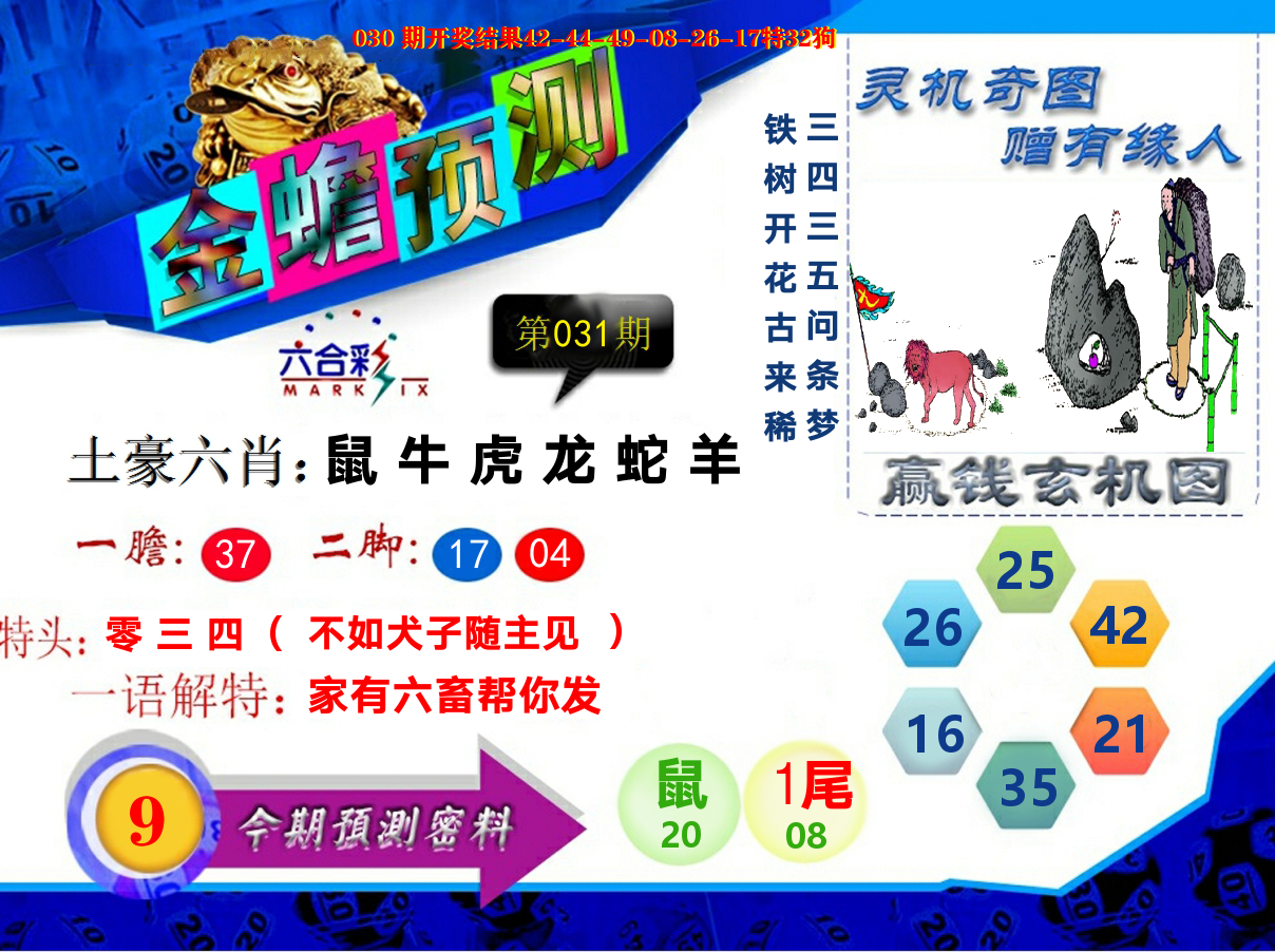 金蟾预测 第31期