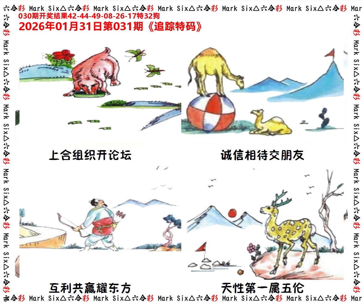 追踪特码 第31期