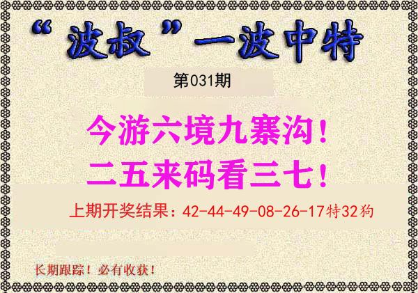 波叔中特 第31期