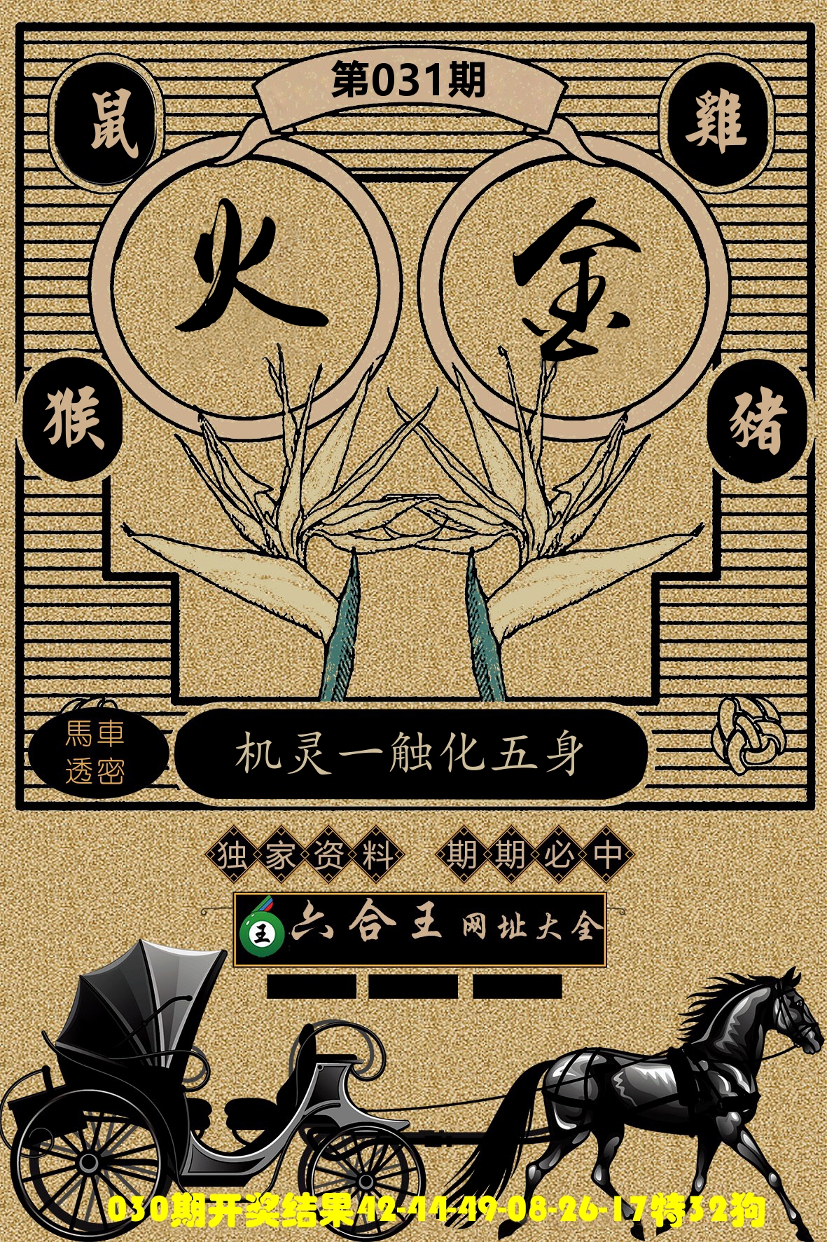 六合王马车透密 第31期