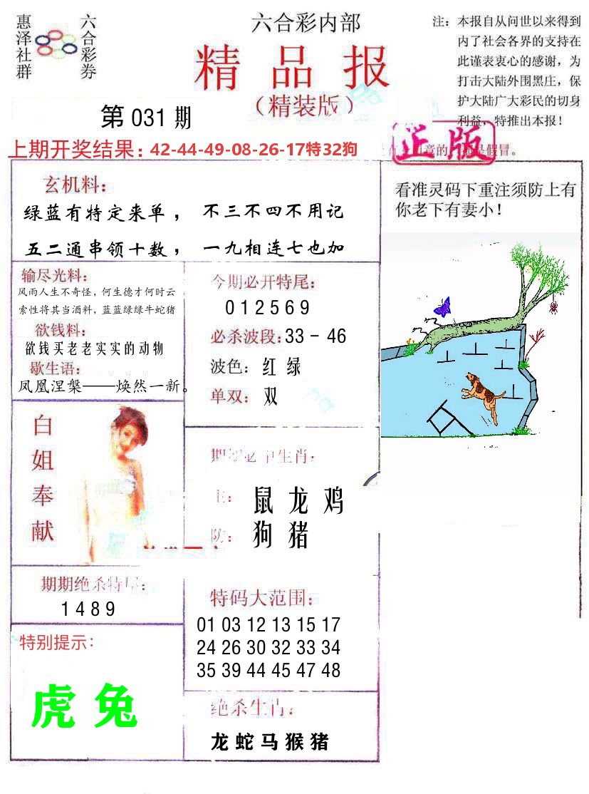 精品报 第31期
